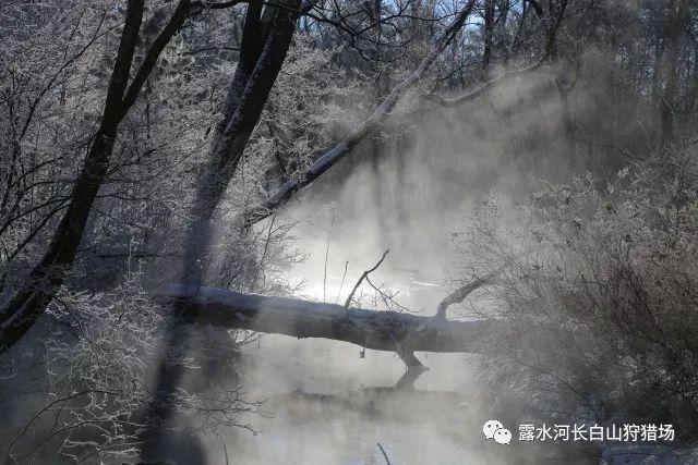 易币付游戏画面